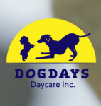 dogcare