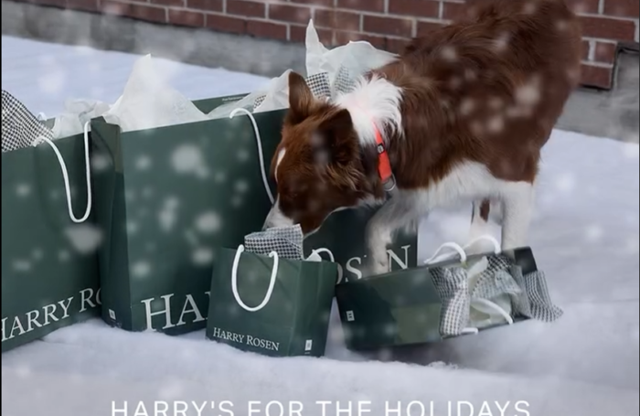 Screenshot 2025-03-20 133651