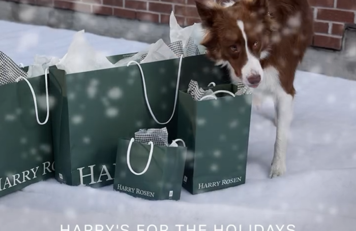 Screenshot 2025-03-20 133723